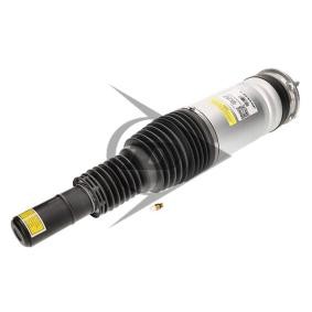 Luftfederbein von Dunlop Airsuspension günstig für 599,00 €