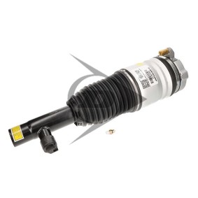 Acquista Ammortizzatore pneumatico da Dunlop Airsuspension 71236 a buon mercato per soli 904,44 €