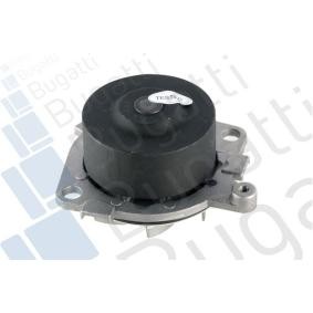 Achetez des Pompe à eau BUGATTI PA5009 à prix pour 59,09 €