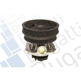 Achetez des Pompe à eau BUGATTI PA5925 à prix pour 72,47 €
