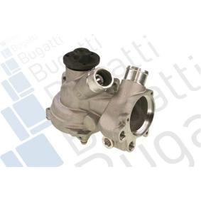 Achetez des Pompe à eau BUGATTI PA6811 à prix pour 186,67 €