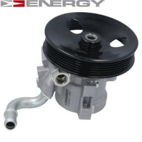 Servopumpe PW690320