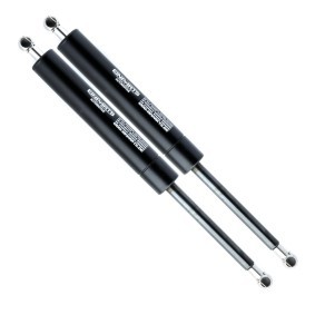 Heckklappendämpfer EP10013GS