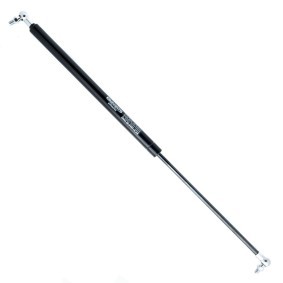 Heckklappendämpfer EP10078GS