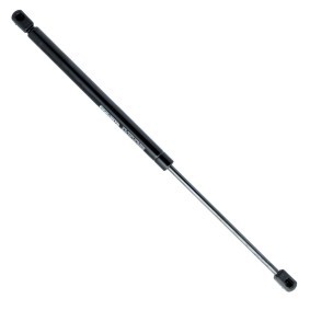Köp Gasfjäder till baklucka av EINPARTS EP10152GS till det låga priset 121,64 kr