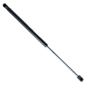 Heckklappendämpfer EP10156GS