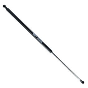Heckklappendämpfer EP10234GS