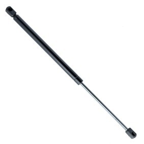 Köp Gasfjäder till baklucka av EINPARTS EP10310GS till det låga priset 168,58 kr