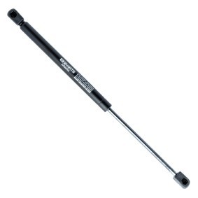 Heckklappendämpfer EP10364GS