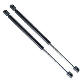 Köp Gasfjäder till baklucka av EINPARTS EP10390GS till det låga priset 177,82 kr