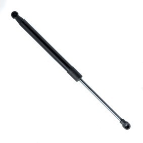 Köp Gasfjäder till baklucka av EINPARTS EP10520GS till det låga priset 125,52 kr