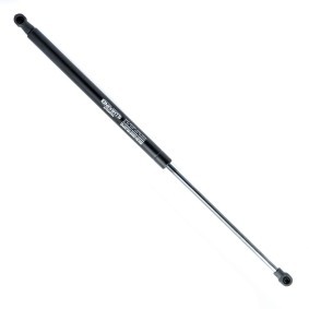 Heckklappendämpfer EP10585GS