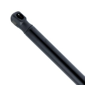 Köp Gasfjäder till baklucka av EINPARTS EP9191GS till det låga priset 163,12 kr