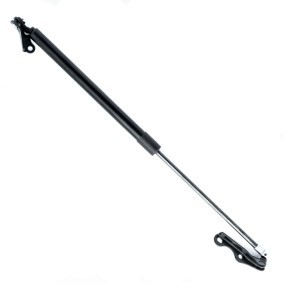 Köp Gasfjäder till baklucka av EINPARTS EP9194GS till det låga priset 166,21 kr