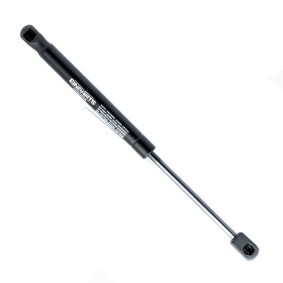 Köp Gasfjäder till baklucka av EINPARTS EP9205GS till det låga priset 126,12 kr