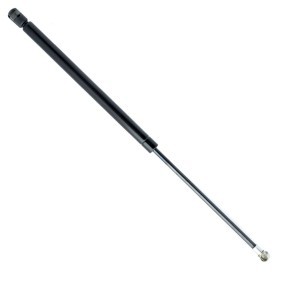 Heckklappendämpfer EP9289GS