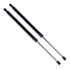 Köp Gasfjäder till baklucka av EINPARTS EP9877GS till det låga priset 157,66 kr