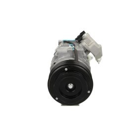 Acquista Compressore aria condizionata da BV PSH 090.125.021.050 a buon mercato per soli 335,01 €