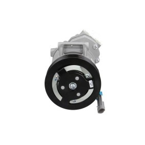 Acquista Compressore aria condizionata da BV PSH 090.135.015.040 a buon mercato per soli 381,68 €