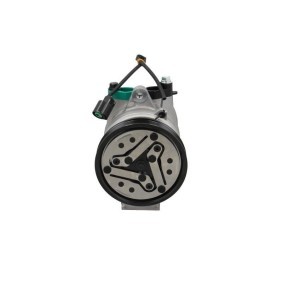 Achetez des Compresseur de climatisation BV PSH 090.225.044.909 à prix pour 316,11 €