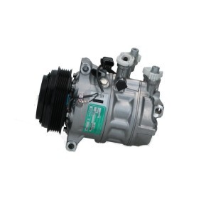 Acquista Compressore aria condizionata da BV PSH 090.485.002.050 a buon mercato per soli 269,94 €