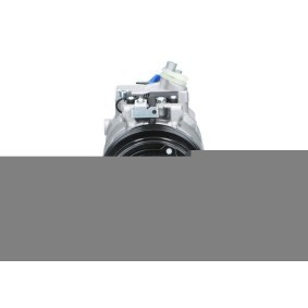 Acquista Compressore aria condizionata da BV PSH 090.555.002.050 a buon mercato per soli 367,90 €