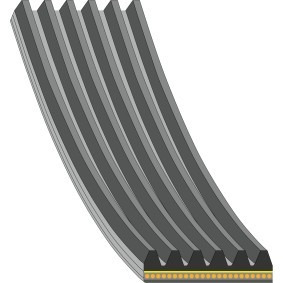 Achetez des Courroie Poly-V FEBI BILSTEIN 181267 à prix pour 33,79 €