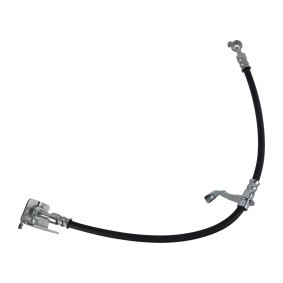 Achetez des Flexible de frein FEBI BILSTEIN 181347 à prix pour 22,24 €