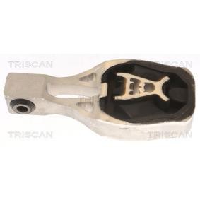 Acquista Supporto motore da TRISCAN online per Combo Mk4 (E) MPV (X19) a prezzi moderati