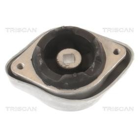 Lagerung, Automatikgetriebe von TRISCAN