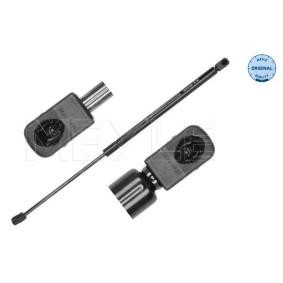 Comprar Amortiguador de maletero de MEYLE 140 910 0106 a bajo precio de 25,79 €