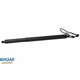 Köp Gasfjäder till baklucka av BUGIAD BRD50739 till det låga priset 1676,34 kr