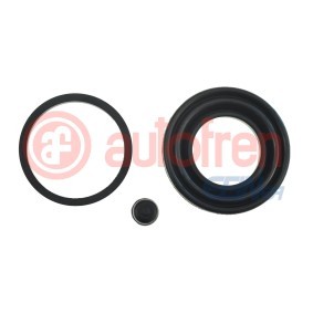 Bremssattel-Reparatursatz D43874