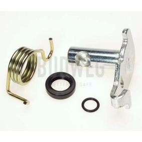 Achetez des Kit de réparation, levier de frein de stationnement (étrier) BUDWEG CALIPER 209917 à prix pour 23,31 €