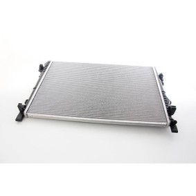 Achetez des Radiateur du moteur BSG BSG 25-520-032 à prix pour 164,40 €
