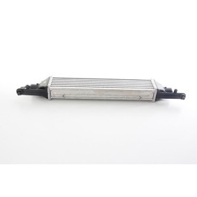 Achetez des Intercooler BSG BSG 25-535-012 à prix pour 111,31 €