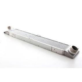 Achetez des Intercooler BSG BSG 25-535-017 à prix pour 274,23 €