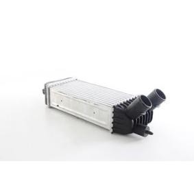 Achetez des Intercooler BSG BSG 25-535-019 à prix pour 160,36 €