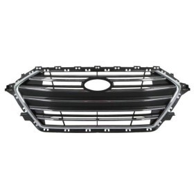 Kühlergrill 6502-07-3172991P