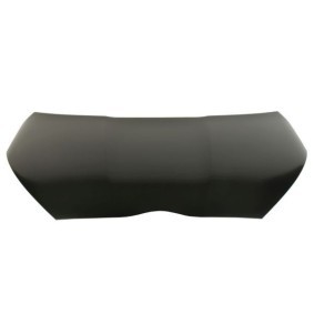 Motorhaube 6803-00-8158280P