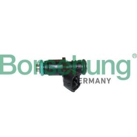 Compre Válvula injectora da Borsehung B11165 a um preço baixo por 13,96 €