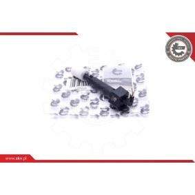 Kühlmittelstand-Sensor 17SKV635