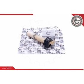 Kühlmittelstand-Sensor 17SKV639