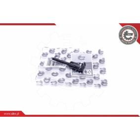 Kühlmittelstand-Sensor 17SKV645