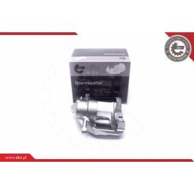 Bremssattel 55SKV972