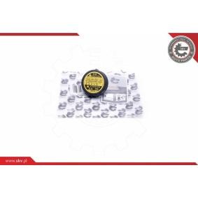 Achetez des Bouchon de liquide de refroidissement ESEN SKV 61SKV008 à prix pour 4,14 €