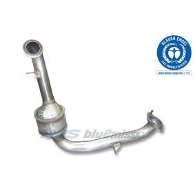 Katalysator 90 15 5491 von HJS günstig für 590,44 € online kaufen