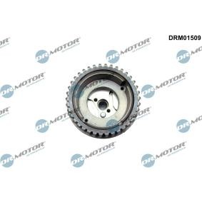 Osta Nokka-akselin ajoitussäädin DR.MOTOR AUTOMOTIVE:llä DRM01509 edullisesti hintaan 119,16 €