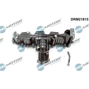 Ansaugbrücke DRM21815