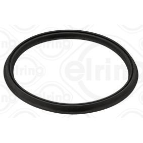 Dichtring 087.320